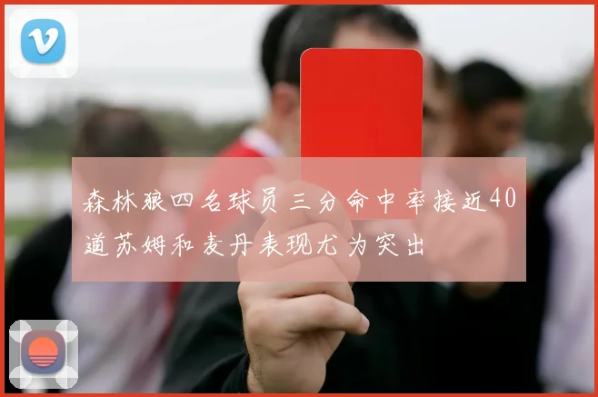 森林狼四名球员三分命中率接近40道苏姆和麦丹表现尤为突出