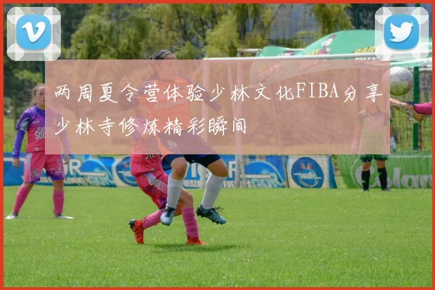 两周夏令营体验少林文化FIBA分享少林寺修炼精彩瞬间
