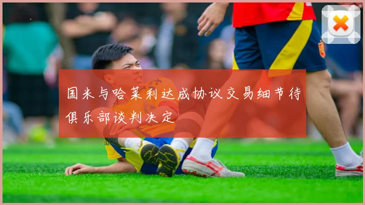 国米与哈莱利达成协议交易细节待俱乐部谈判决定